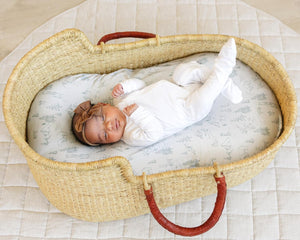 Arctic Journey, Bassinet Sheets (2-Pack)