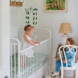 Butterfly Garden, Crib Sheets (2-Pack)